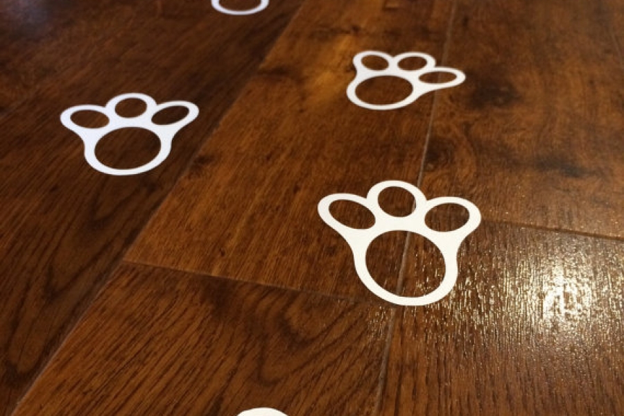 Sticker paw prints on wooden floor