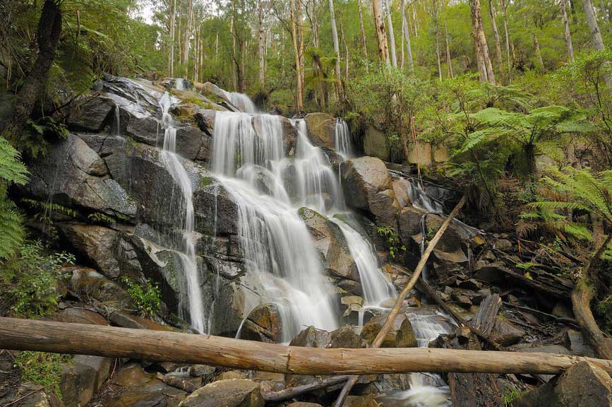 Wanderlust: 9 must-see Gippsland natural wonders Wanderlust: 9 must-see Gippsland natural wonders