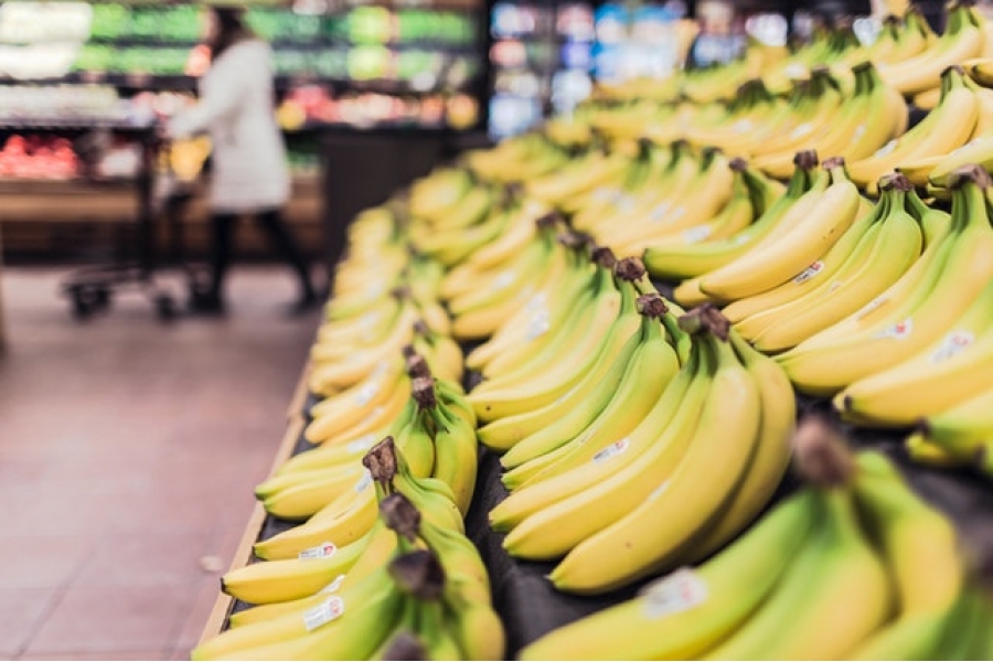 Row of bananas Row of bananas