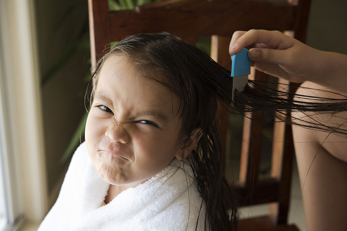 Little girl making a face at the camera as someone combs her hair for head lice Little girl making a face at the camera as someone combs her hair for head lice