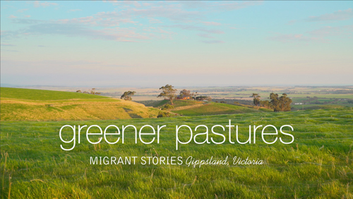 Greener Pastures A photograph of Gippsland rolling hills with 'Greener Pastures - migrant stories, Gippsland, Victoria' text on image