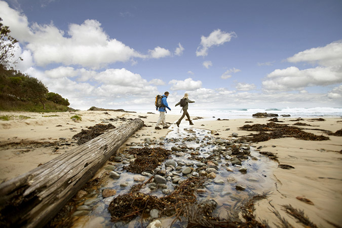 Image of a couple exploring/walking on a beach with rocks and driftwood in the foreground